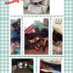 Reading forts