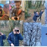 birdwatchers