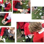 LKS2 British Science Week