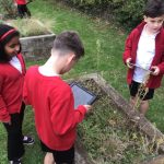 Y4 Plants in school grounds Autumn